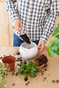 园艺在家种植男人图片