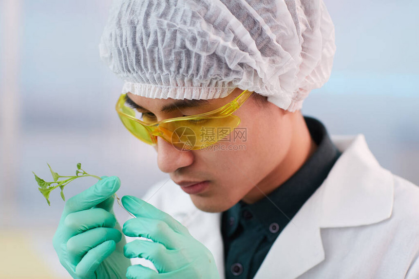 身戴保护眼镜的亚洲年轻植物学家手里握着小芽图片
