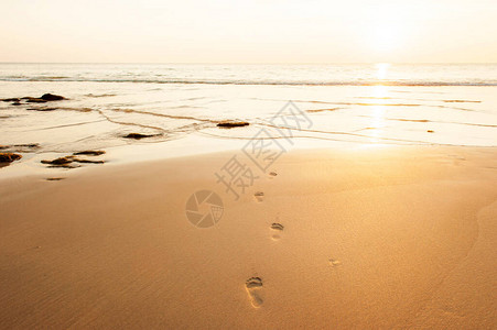 黄昏金色沙滩上的人类脚印图片