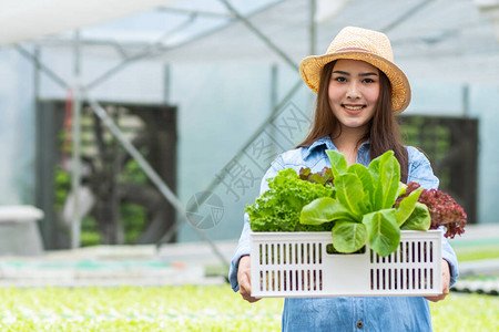 健康食品有机蔬菜农场图片