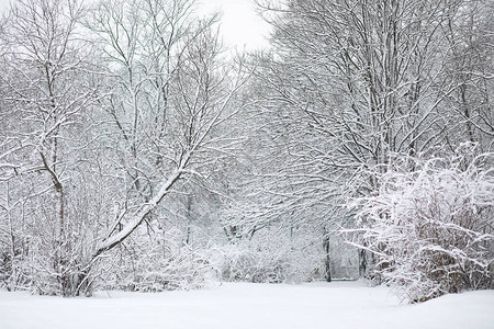 直流而下冬天风景雪下的森背景