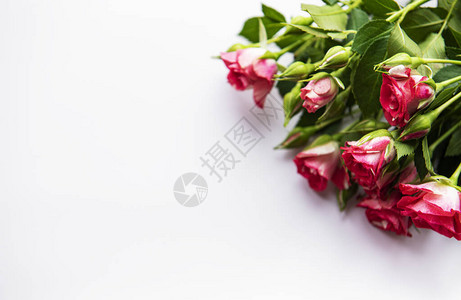 白色背景上的红玫瑰花束图片