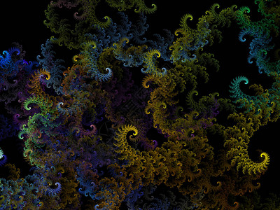 外星螺旋羽状苔藓图片