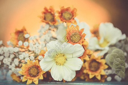 黄色和白色质朴的夏日花朵图片