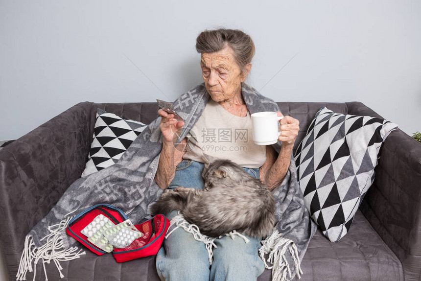 在家吃药的老妇人高级女人拿着杯水和药丸奶抱着药丸和一只猫坐在沙发上年龄医学保图片