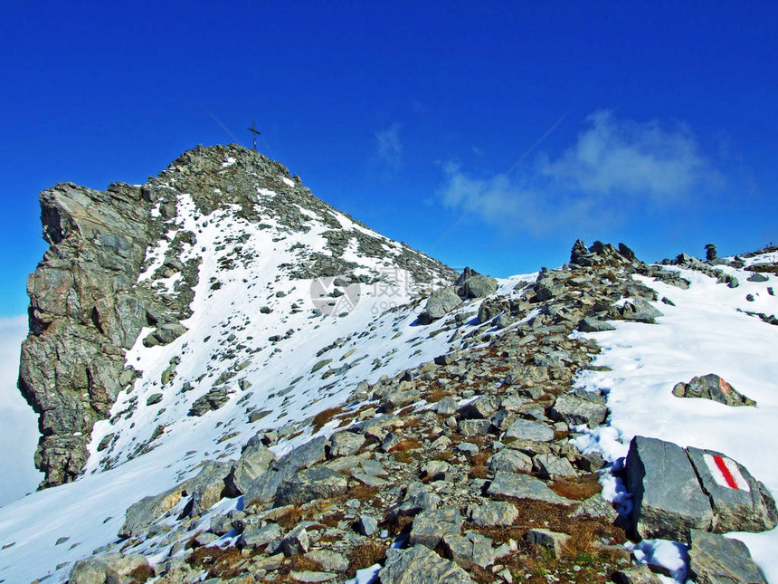 Ratikon边界山区或RaetikonGrenzmassiv和莱茵河谷Rheintal的高山峰Falknis图片