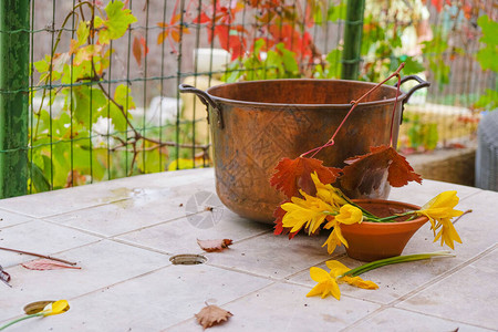 在普罗旺斯花园里有铜锅和植物的农村静态生活黄雀白桌上的红图片