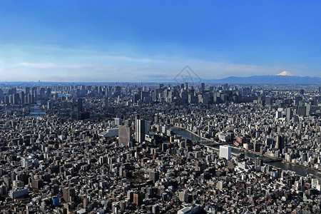 从东京晴空塔眺望东京市中心和富士山图片