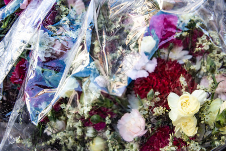 康乃馨花塑料袋石膏花垃圾花卉市场特写和微距拍摄图片