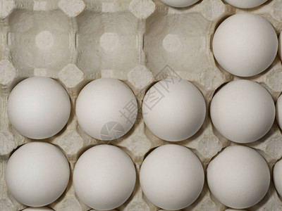 鸡蛋在鸡蛋场中生图片