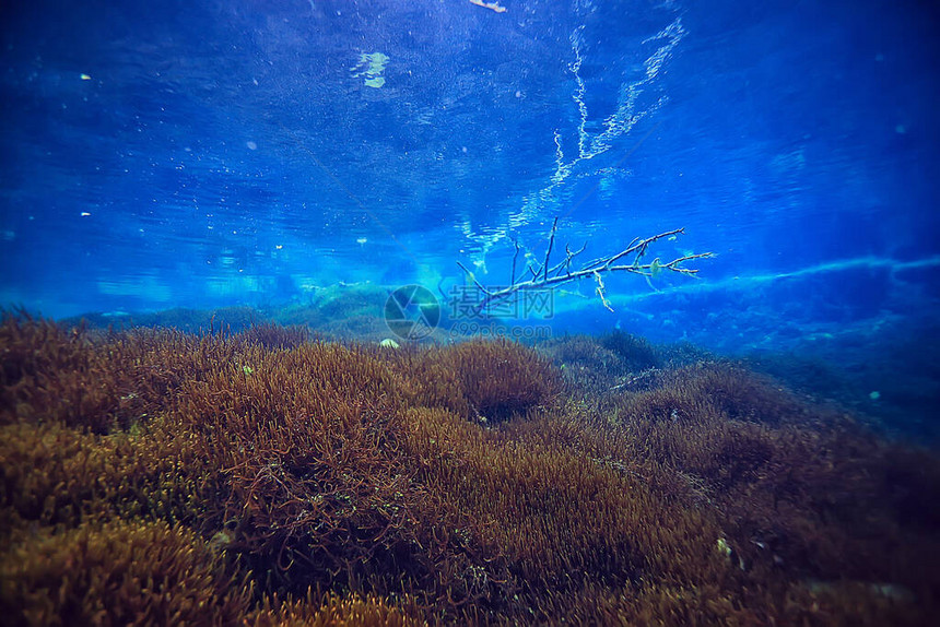 水下湖泊淡水地貌和生态系统清晰的图片