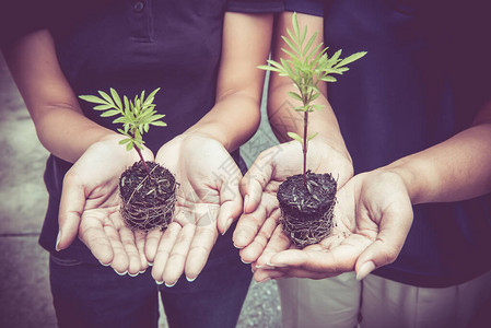 通过植树来拯救拯救生图片