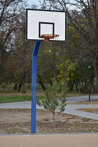 公园里的篮球架图片