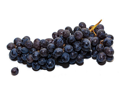 串在白色背景上孤立的黑葡萄黑葡萄是酿酒的原料孤立在白色图片