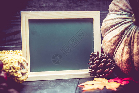 感恩节背景下收获的南瓜和黑板的特写镜头图片