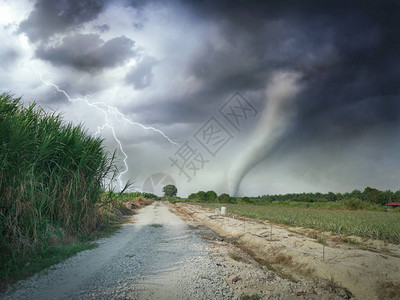 农场的闪电和飓风图片
