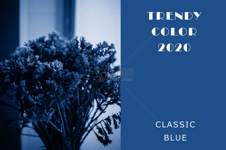 以经典蓝色的花瓶装着干鲜花束设计时尚有色和对比背景复制空图片