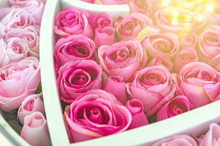 粉红玫瑰花朵开花和bokeh图片