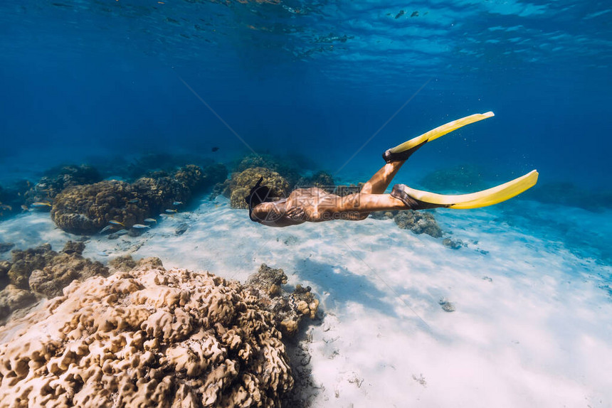 女自由潜水者在蓝海中游过图片