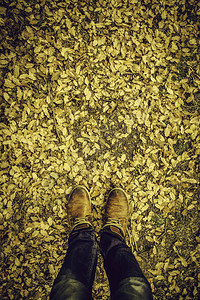 落叶中的脚季节的细节秋天和寒冷图片