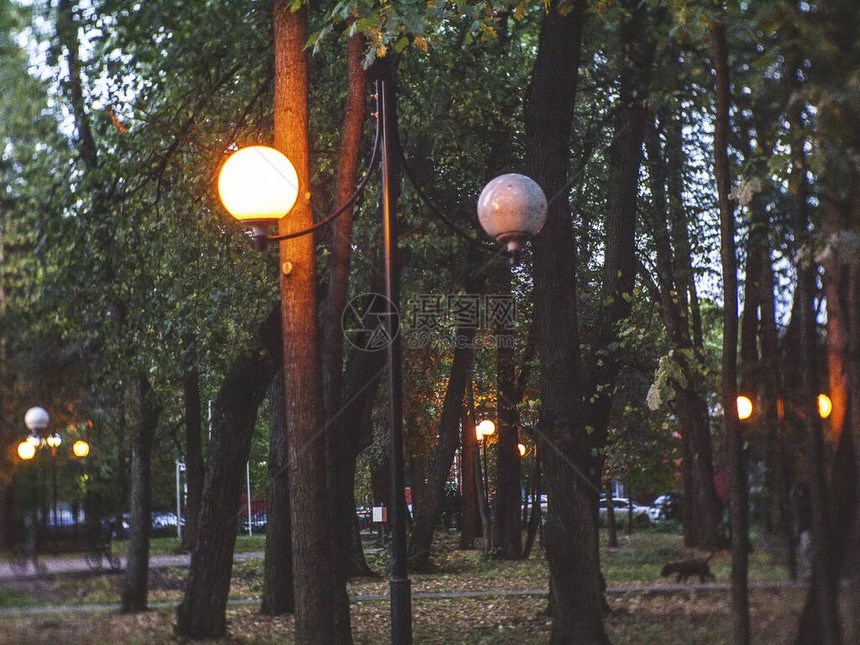 莫斯科公园里燃烧的路灯