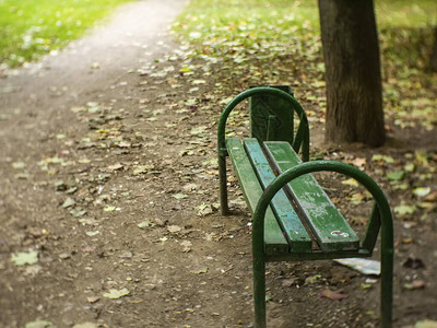 莫斯科公园的绿色长椅图片