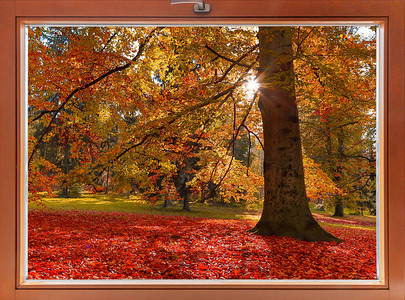 从窗户看秋天的大自然图片