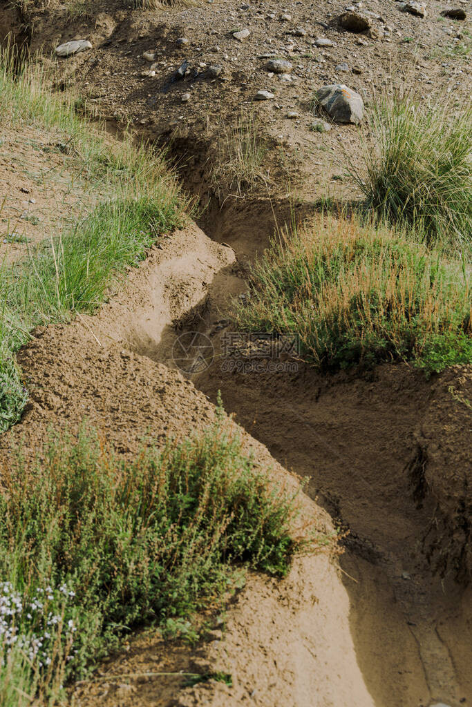 土壤侵蚀导致的干燥粘土沟壑干涸的河流沙床草原干旱缺水全球变图片