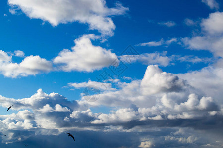深蓝天空云彩和飞鸟的休眠云彩图片