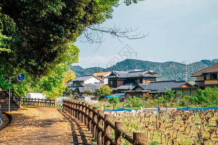 日本松山的乡村图片
