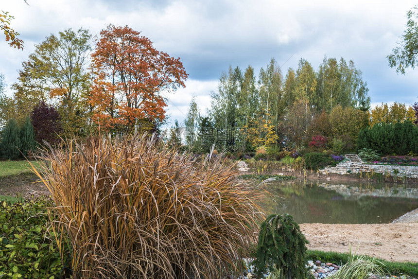 秋天的花园景观图片