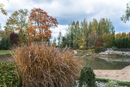 秋天的花园景观图片