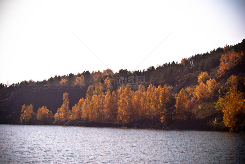 明日秋天人造湖岸上多彩的秋天树黄绿图片