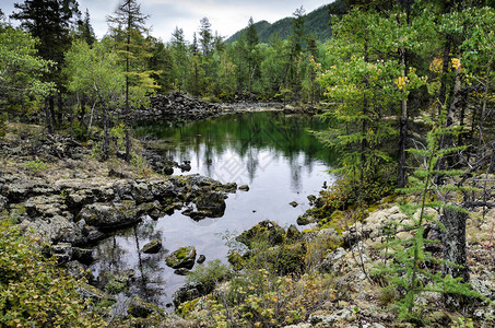 在山湖石头小丘和森林的岸边图片