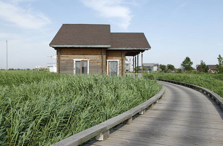 湿地木制房屋公图片