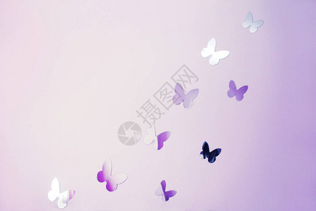 闪亮的飞翔蝴蝶有紫图片