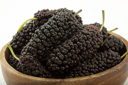 Mulberry水果图片