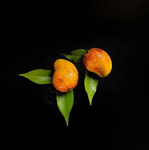 黑色背景的芒果危地马拉热带水果图片