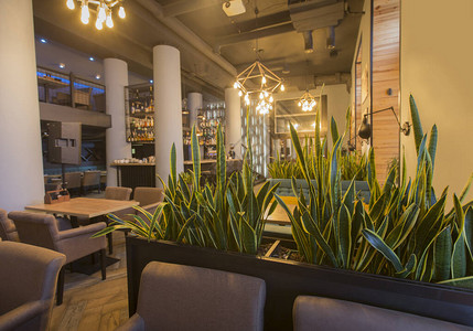 室内餐厅的绿色工厂当代设计以阁楼风格现代餐饮场所复制空图片
