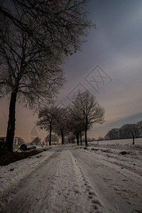 明月下的冬夜雪景图片