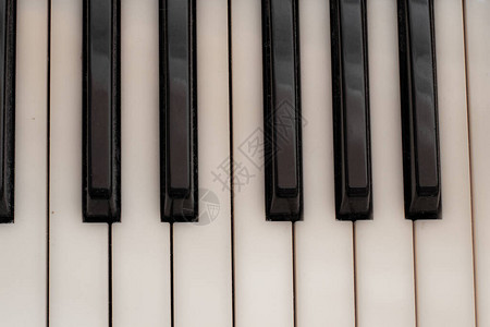 黑白钢琴键乐器图片