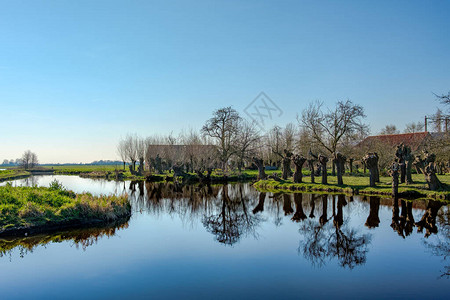 荷兰鹿特丹附近早春美丽的农业圩田景观中图片