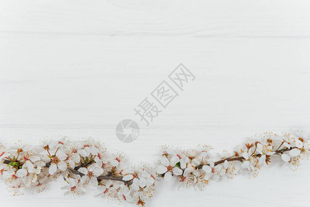 复古木制背景上的春夏白花图片
