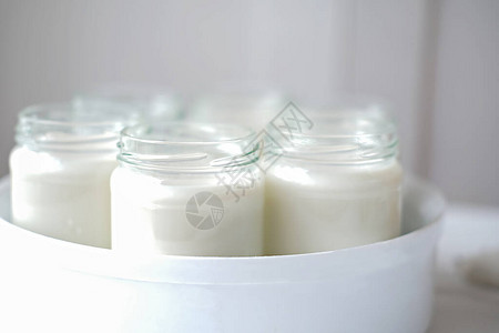在酸奶机的玻璃罐中自制有机酸奶自动酸奶机在家制作发酵乳制品检疫概念期背景