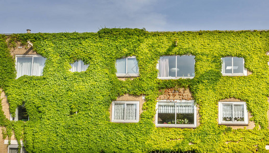 满墙植物的生态建筑背景图片