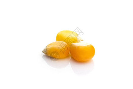 RawCorn种子或Corn内核罐头黄玉米甜菜种子图片