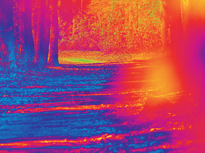 森林中路径的热像仪视图红外或热成像照片红外惊人图片
