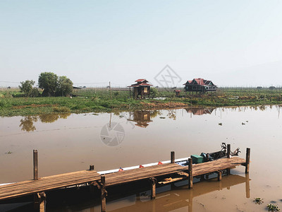 缅甸茵莱湖农村地区的水呈褐色水沼乡村图片