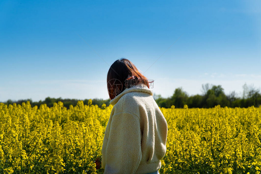 夏日时分站在金黄色油菜花田中间的单身女子图片