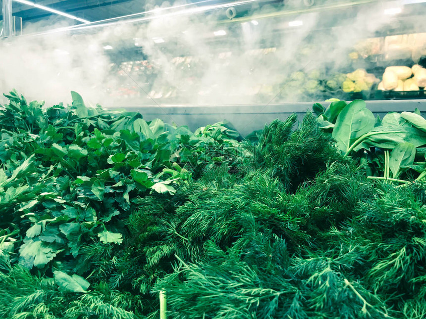 欧芹植物莳萝沙拉芝麻菜洋葱和其他植物食品的绿色新鲜蔬菜放在柜台超市商店的现代冰图片